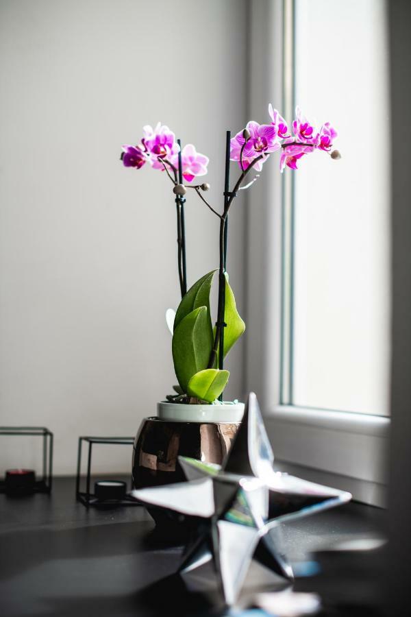 Hanna'S Suite With Free Parking 卢布尔雅那 外观 照片
